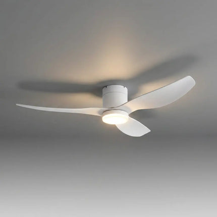 Collection image for: Blanc