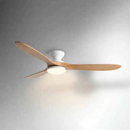 Collection image for: Bois