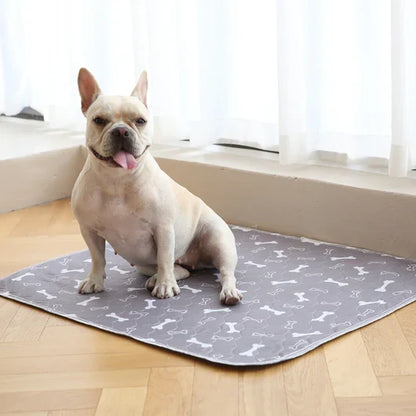 EliPatte - Le Dernier Tapis Pipi dont Vous Aurez Besoin