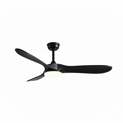 Ventilateur Plafond Silencieux - Noir et ABS Noir
