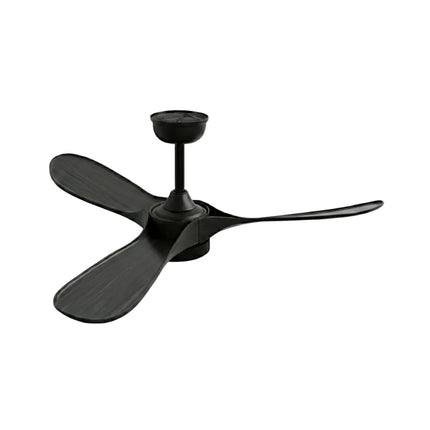 Ventilateur Plafond Silencieux - Noir et ABS Noir