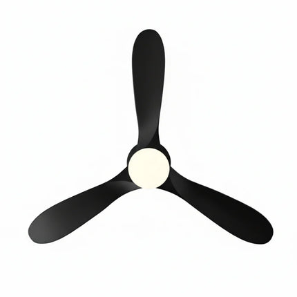 Ventilateur Plafond Silencieux - Noir et ABS Noir