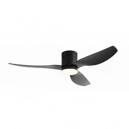 Ventilateur de Plafond Silencieux - Noir & ABS Noir