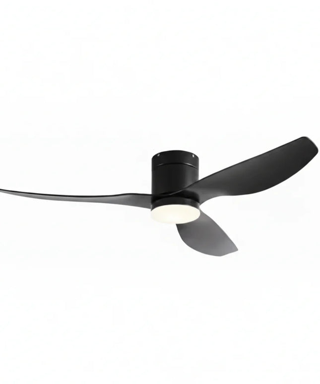 Ventilateur de Plafond Silencieux - Noir & ABS Noir
