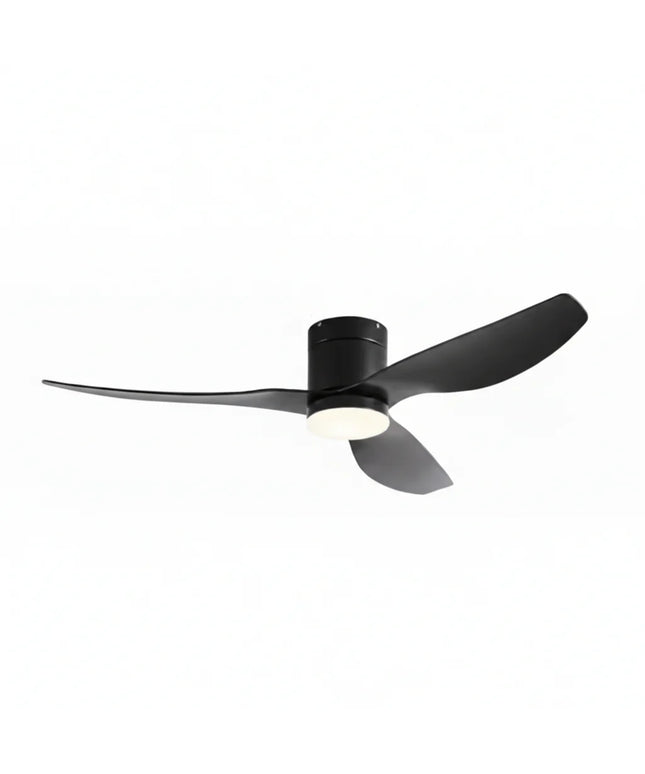 Ventilateur de Plafond Silencieux - Noir & ABS Noir