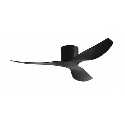 Ventilateur de Plafond - Noir & ABS Noir