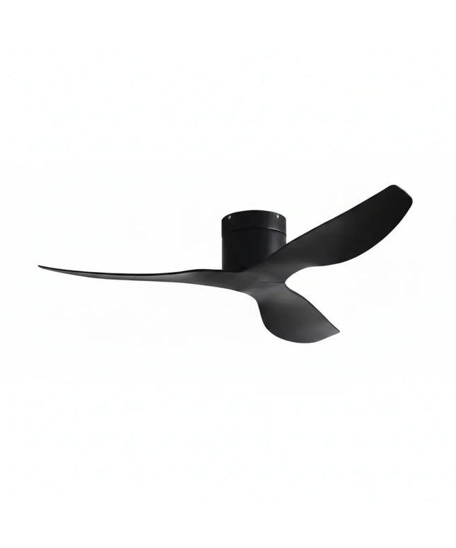 Ventilateur de Plafond - Noir & ABS Noir