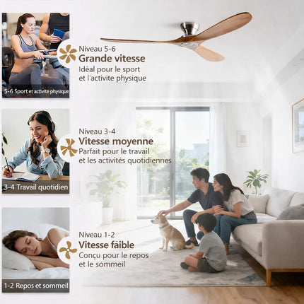 Ventilateur de Plafond – Bois Foncé et Noir