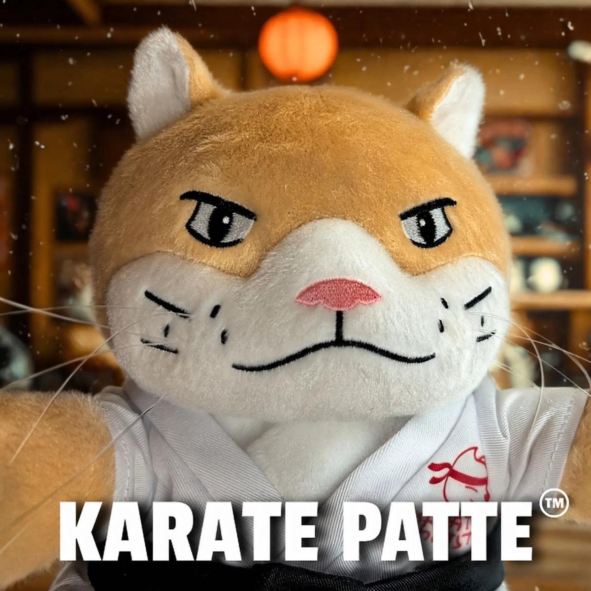 Karate Patte™