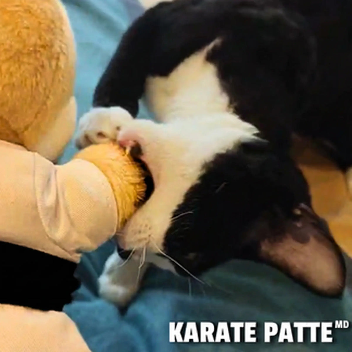 Karate Patte™