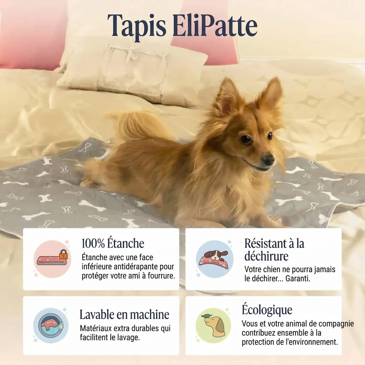 EliPatte - Le Dernier Tapis Pipi dont Vous Aurez Besoin
