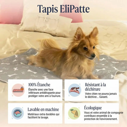 EliPatte - Le Dernier Tapis Pipi dont Vous Aurez Besoin