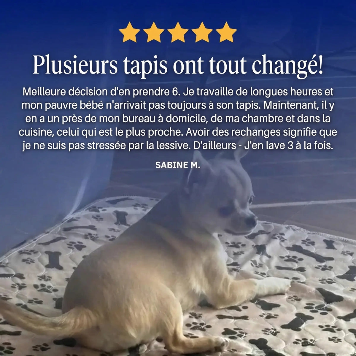 EliPatte - Le Dernier Tapis Pipi dont Vous Aurez Besoin