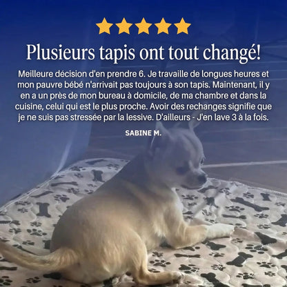 EliPatte - Le Dernier Tapis Pipi dont Vous Aurez Besoin