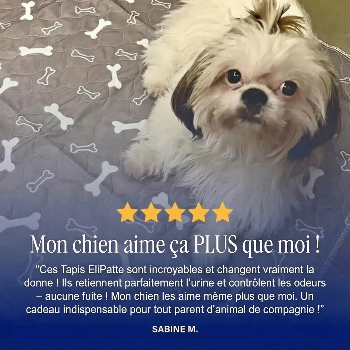 EliPatte - Le Dernier Tapis Pipi dont Vous Aurez Besoin