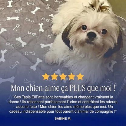 EliPatte - Le Dernier Tapis Pipi dont Vous Aurez Besoin