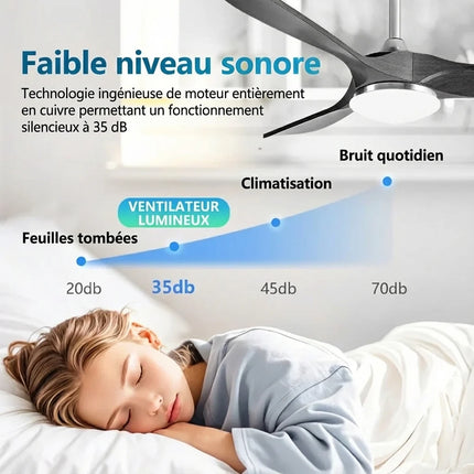 Ventilateur de Plafond - Argent & ABS Bois Foncé
