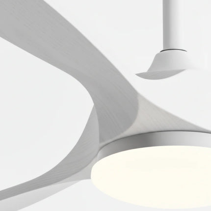 Ventilateur Plafond Silencieux - Blanc et ABS Blanc