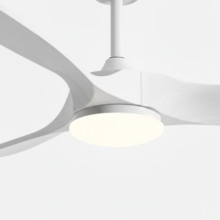 Ventilateur Plafond Silencieux - Blanc et ABS Blanc