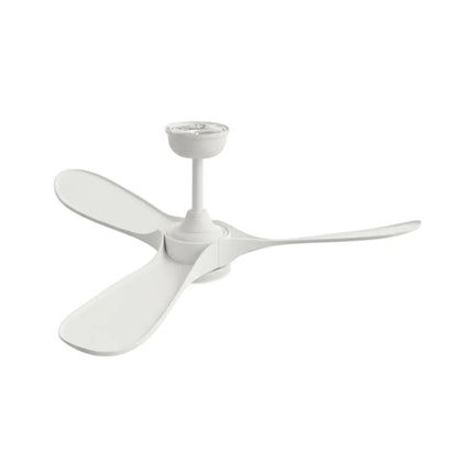 Ventilateur Plafond Silencieux - Blanc et ABS Blanc