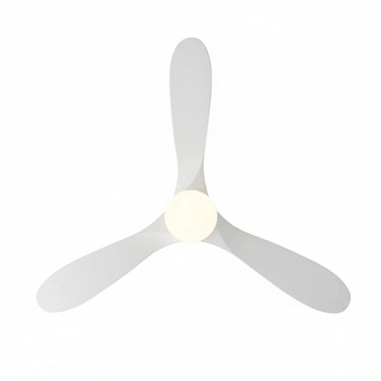 Ventilateur Plafond Silencieux - Blanc et ABS Blanc