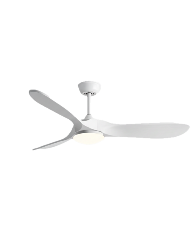 Ventilateur Plafond Silencieux - Blanc et ABS Blanc
