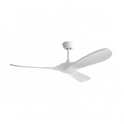 Ventilateur Plafond Silencieux - Blanc et ABS Blanc