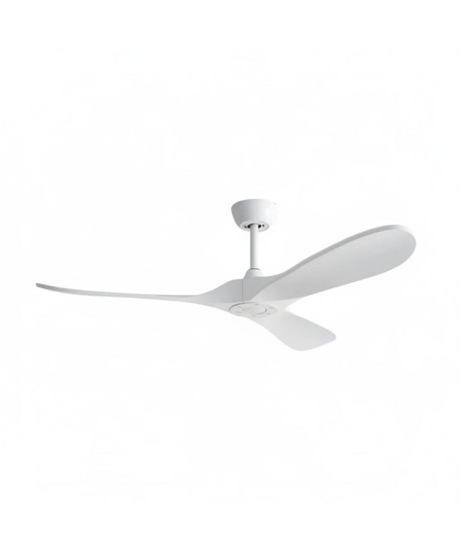 Ventilateur Plafond Silencieux - Blanc et ABS Blanc